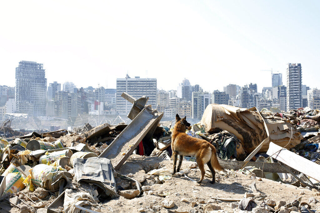 APTOPIX Lebanon Explosion